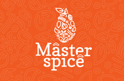 Master spice logo 2